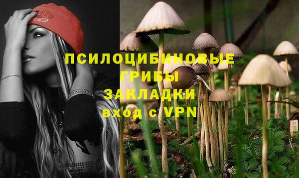 прущие крисы Абаза