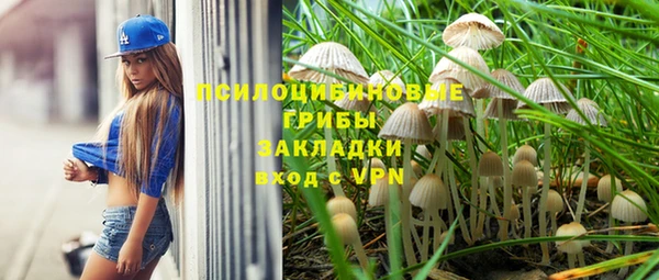 твердый Алексеевка