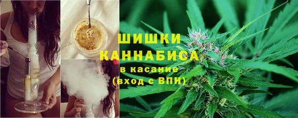 прущие крисы Абаза