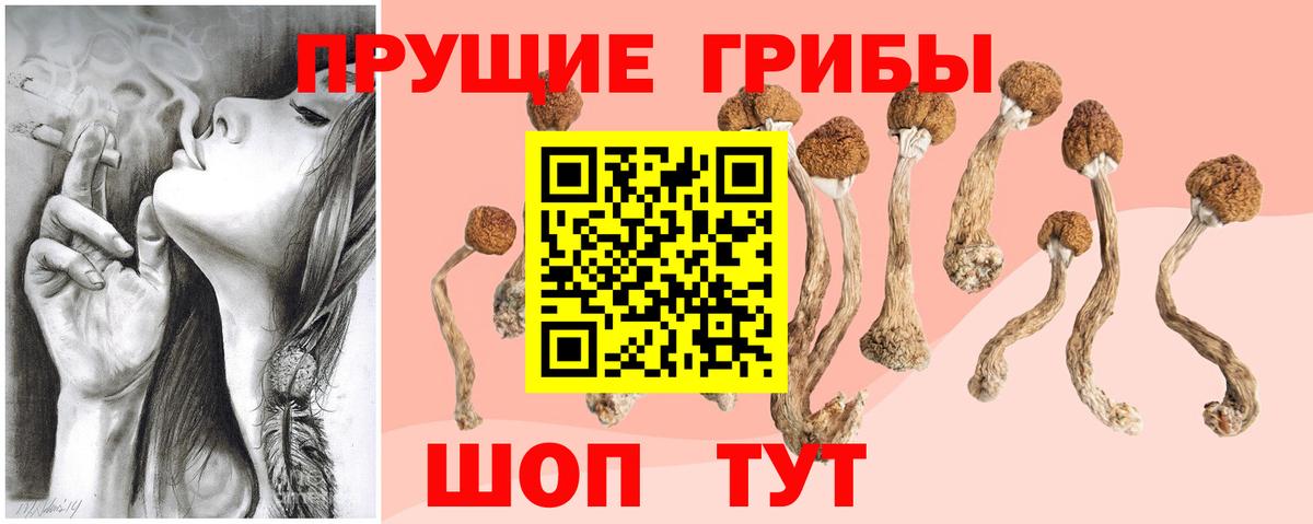 Галлюциногенные грибы мицелий Фурманов